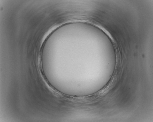 X0000074031101200609111707