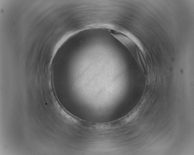 X0000074031102200609111707