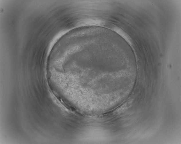 X0000074031104200609111707