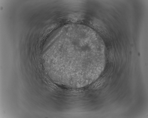 X0000074031105200609111707