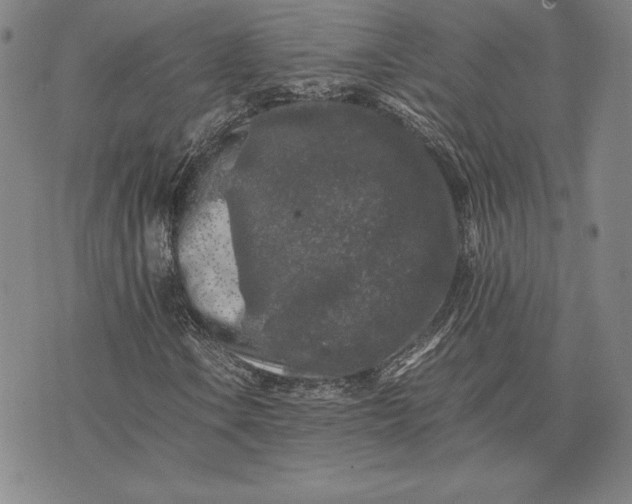 X0000074031106200609111707