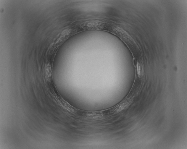 X0000074031107200609111707