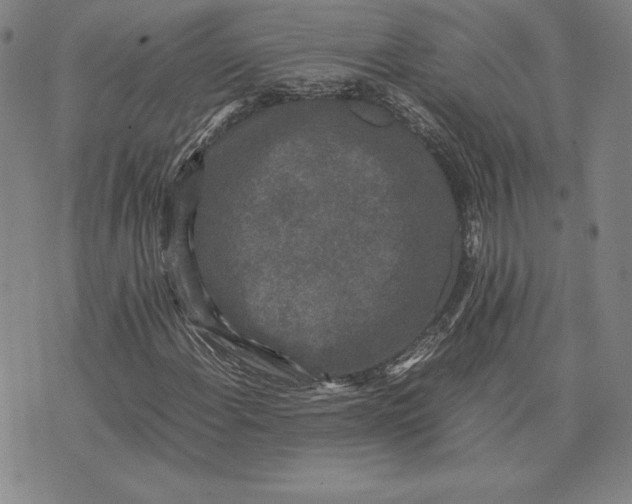 X0000074031108200609111707