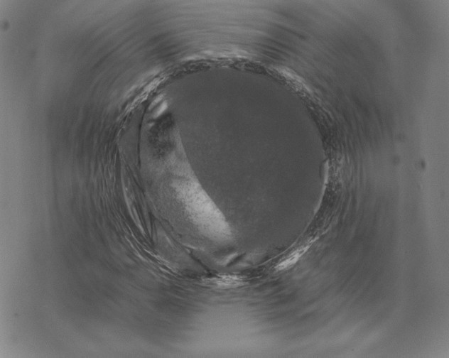 X0000074031110200609111707