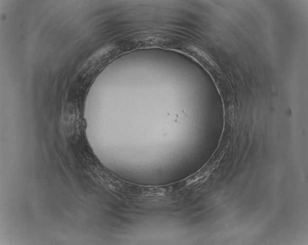 X0000074031111200609111707