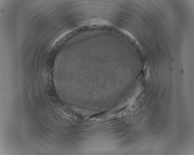 X0000074031112200609111707