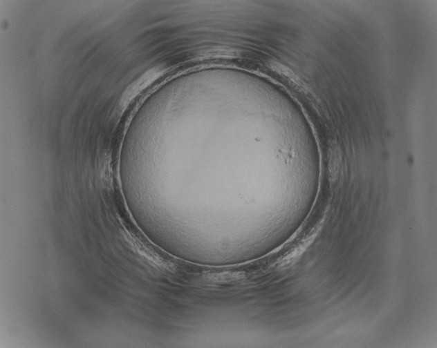 X0000074031113200609111707