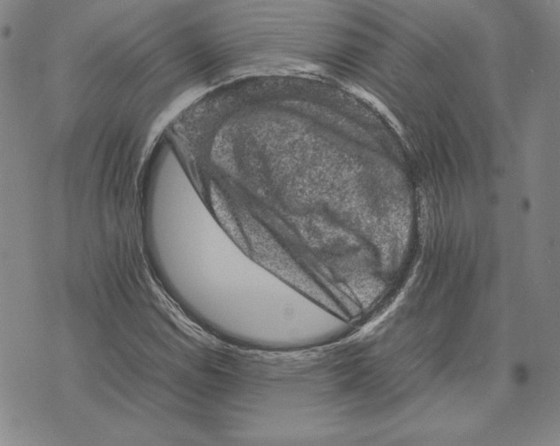 X0000074031114200609111707