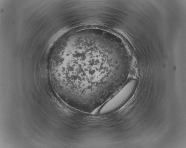 X0000074031115200609111707