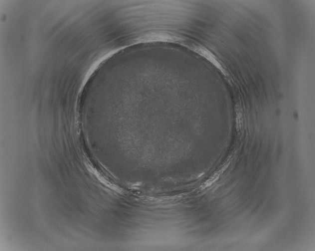 X0000074031116200609111707