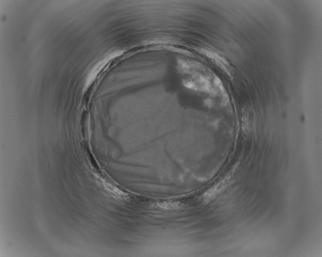 X0000074031117200609111707