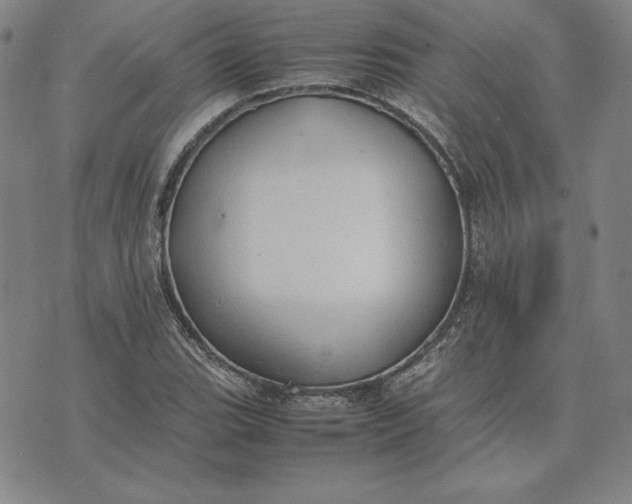 X0000074031119200609111707