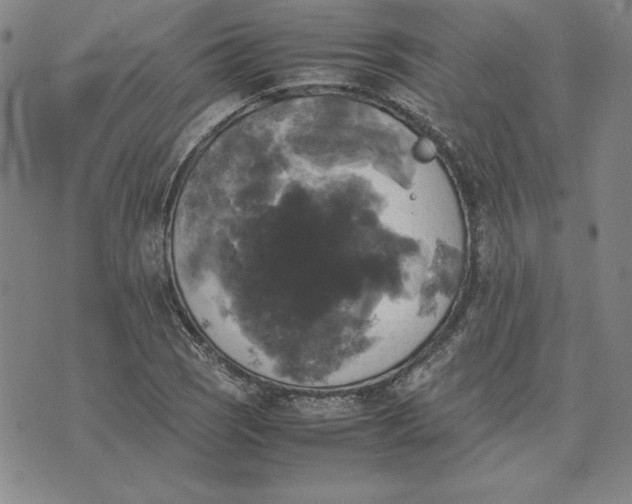 X0000074031121200609111707