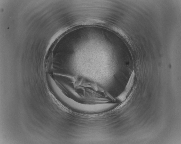 X0000074031122200609111707