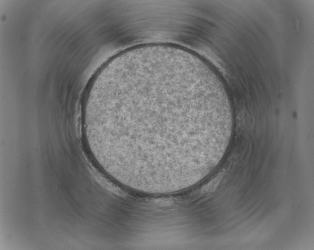 X0000074031126200609111707