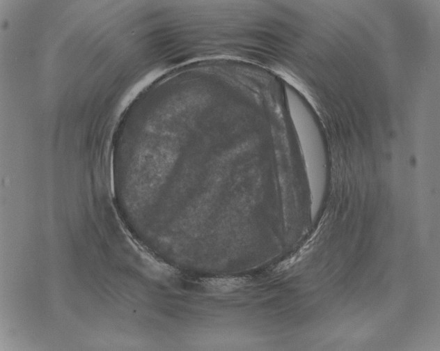 X0000074031127200609111707