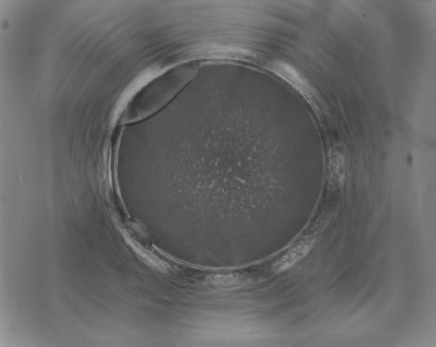 X0000074031128200609111707