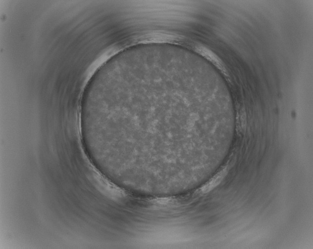 X0000074031130200609111707