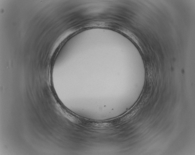 X0000074031131200609111707