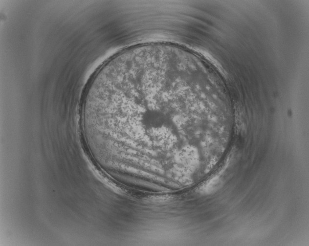 X0000074031134200609111707