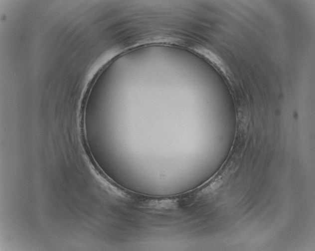 X0000074031135200609111707