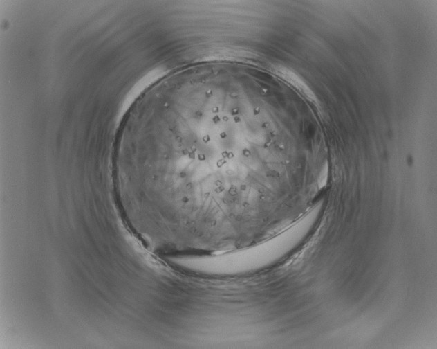 X0000074031138200609111707