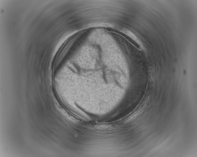 X0000074031140200609111707