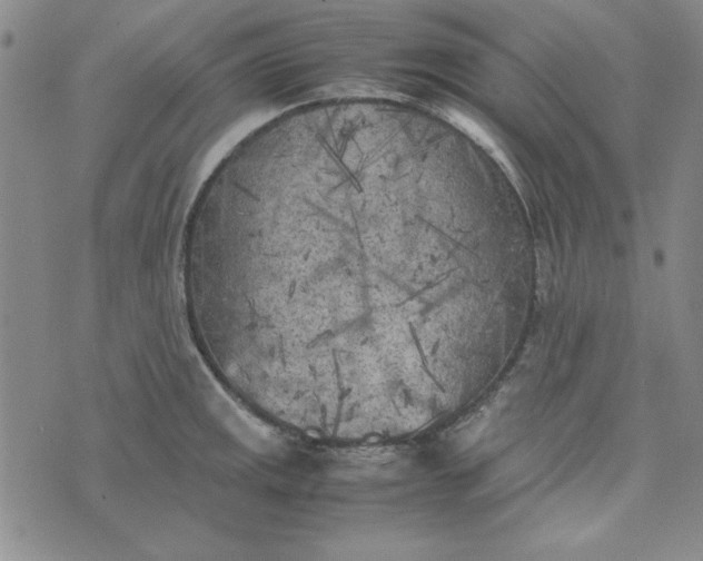 X0000074031141200609111707