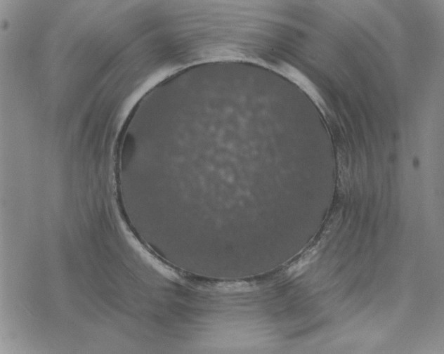 X0000074031142200609111707