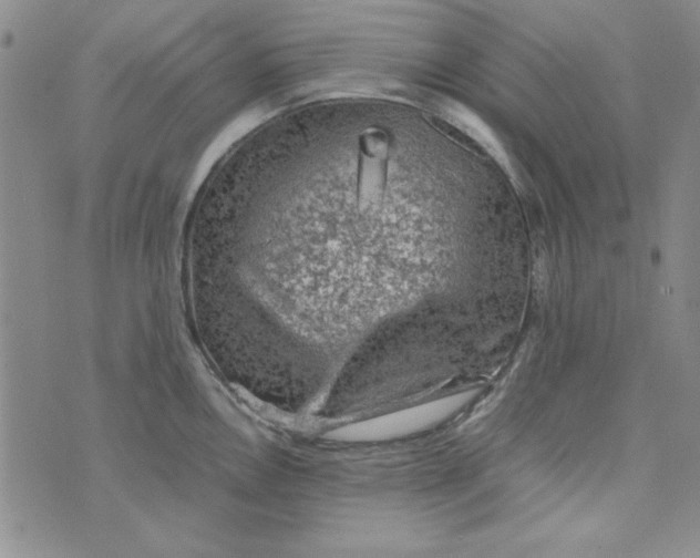 X0000074031146200609111707