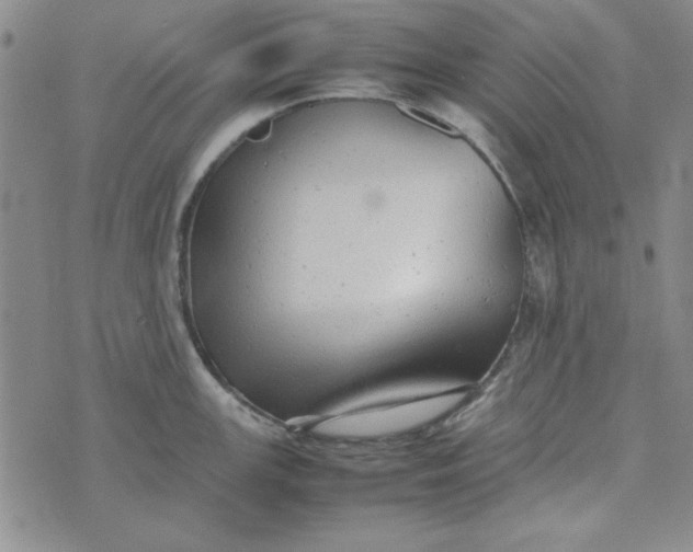 X0000074031147200609111707