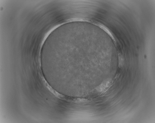 X0000074031148200609111707