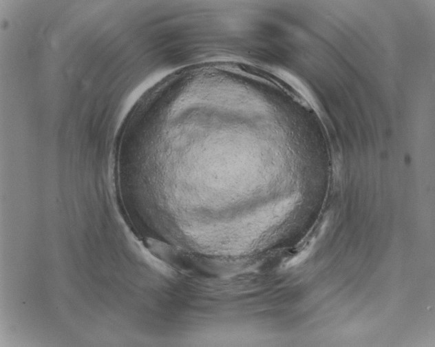 X0000074031149200609111707