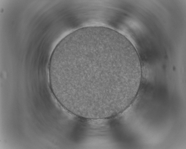 X0000074031150200609111707