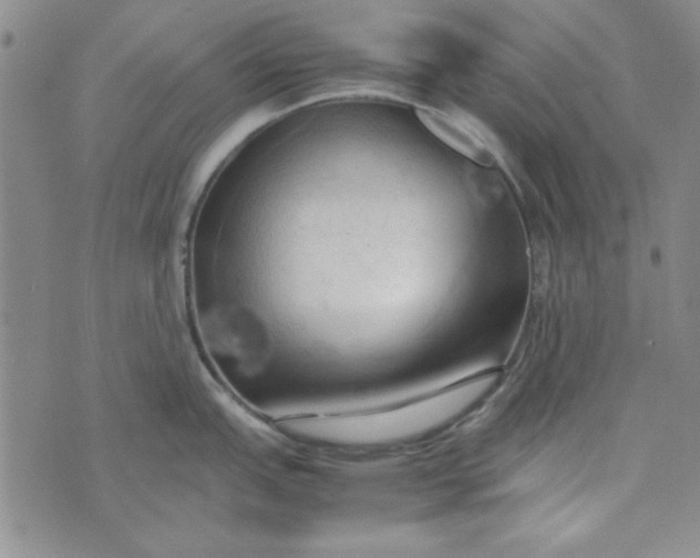 X0000074031151200609111707