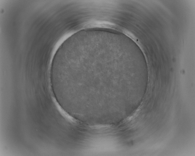 X0000074031152200609111707