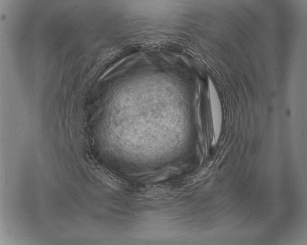 X0000074031153200609111707