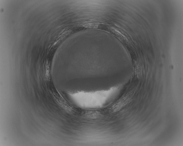 X0000074031154200609111707