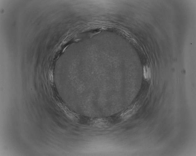 X0000074031155200609111706