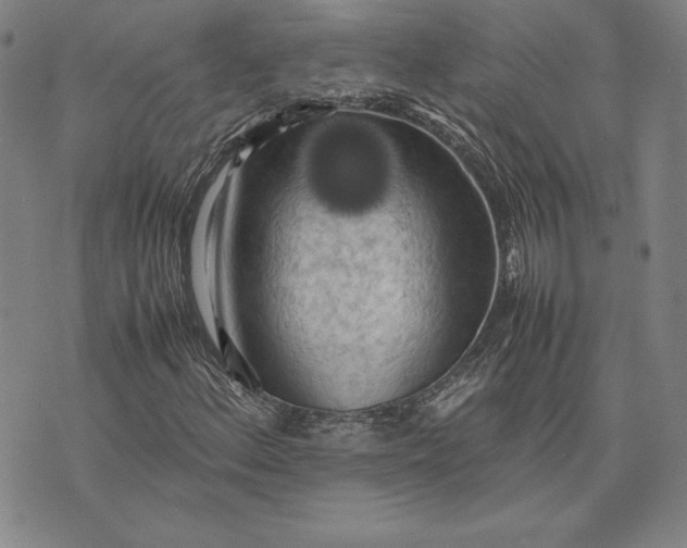 X0000074031156200609111706