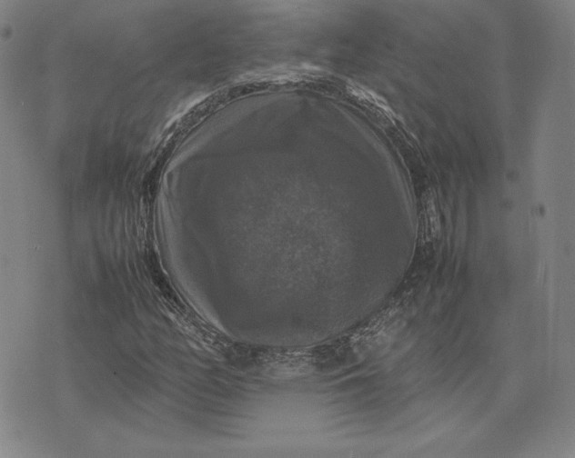 X0000074031158200609111706