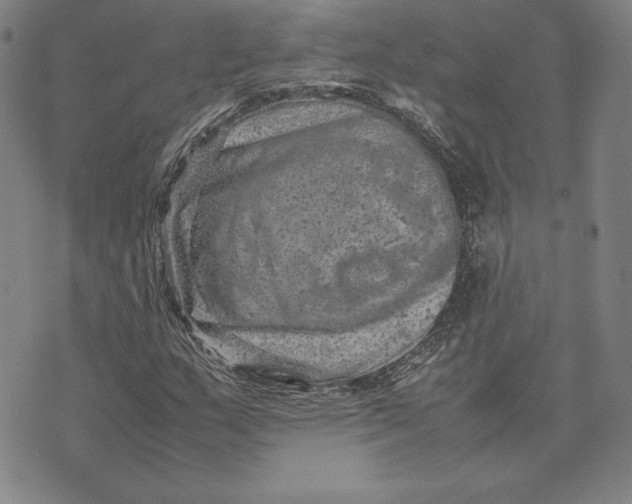 X0000074031159200609111706