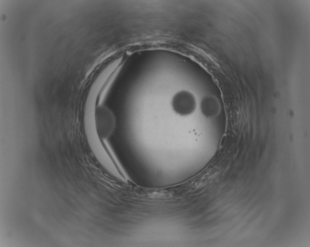 X0000074031160200609111706