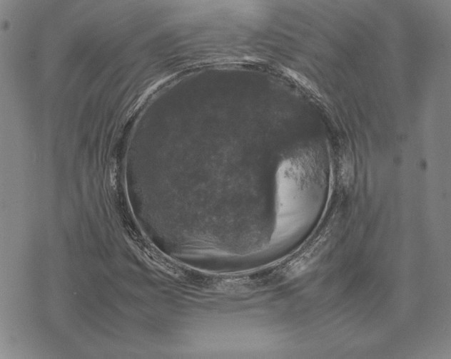 X0000074031161200609111706