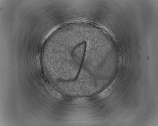 X0000074031162200609111706