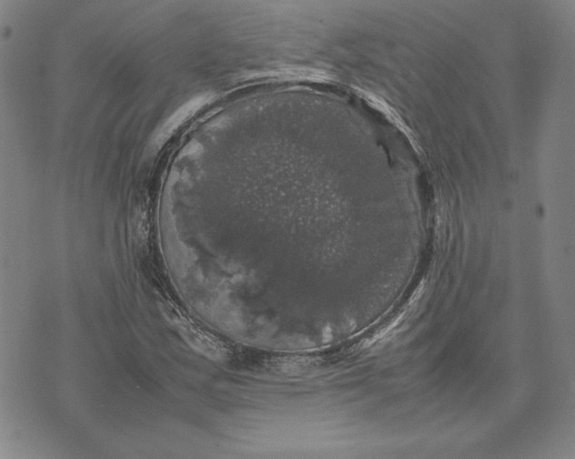 X0000074031163200609111706