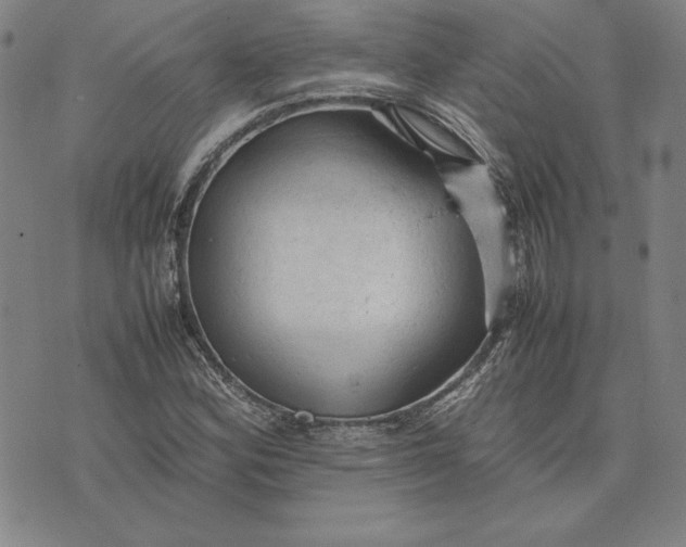 X0000074031164200609111706