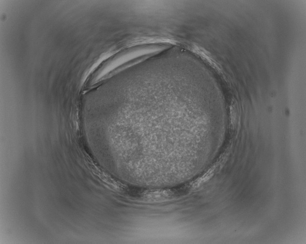 X0000074031165200609111706