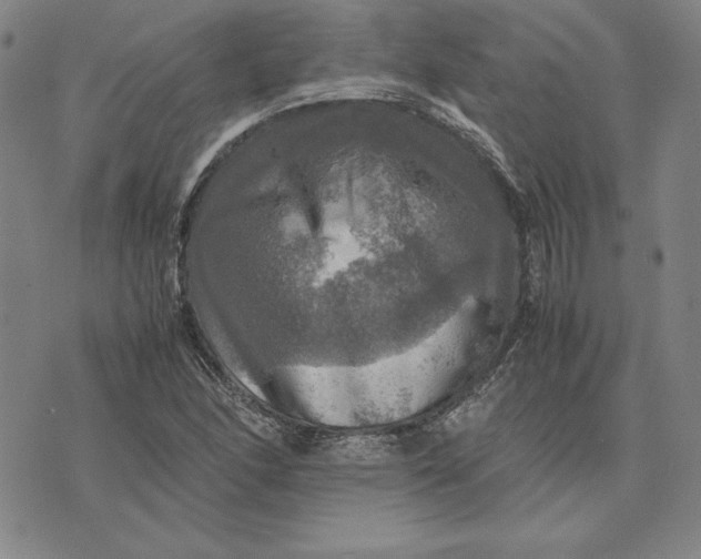 X0000074031166200609111706