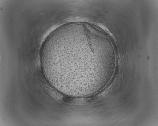 X0000074031167200609111706